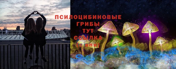 винт Горняк
